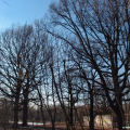 P4018707.JPG